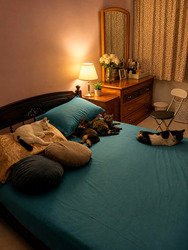 Blk 336 Kampong Ubi View (Geylang), HDB 4 Rooms #621134761
